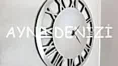 Future Roma Silver Model Gümüş Renk Dekoratif Aynalı Duvar Saati